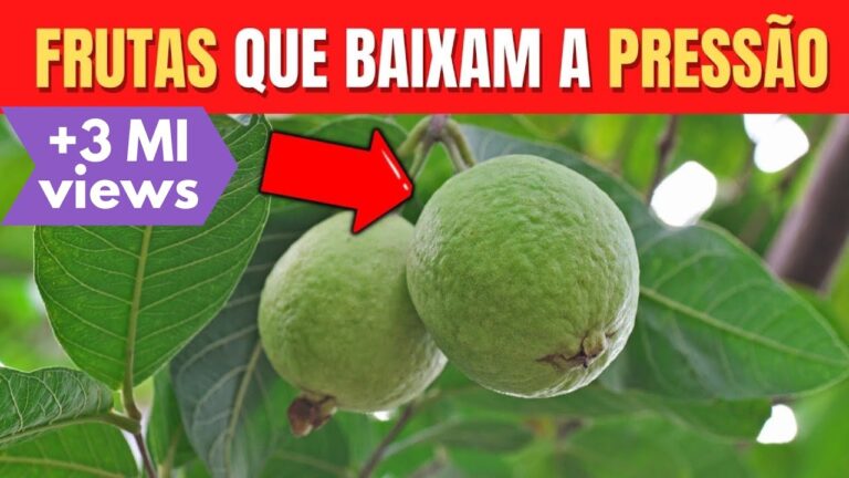 Gu&iacute;a para encontrar mercados ecol&oacute;gicos en Jaca