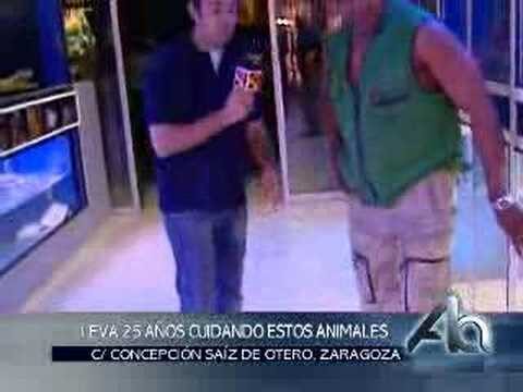 Los Mejores Bares de Copas en Huesca