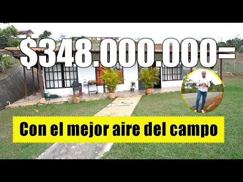 Zonas con Mayor Densidad de &Aacute;rboles en Ayerbe
