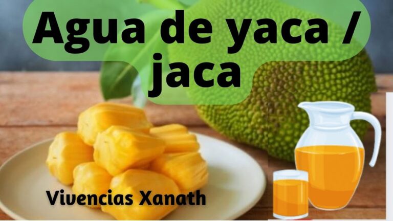 Los mejores lugares para disfrutar un c&oacute;ctel en Jaca