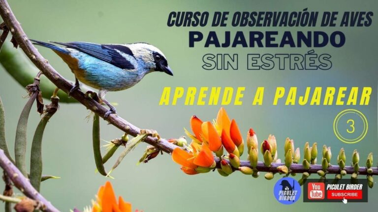 Cursos de Fotograf&iacute;a Disponibles en Ayerbe
