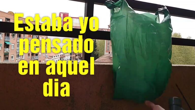 Gu&iacute;a para encontrar mercados ecol&oacute;gicos en Sabi&ntilde;&aacute;nigo