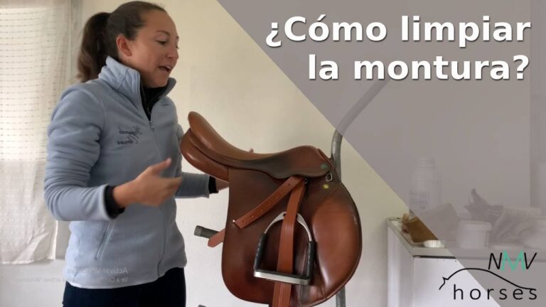 Empresas de limpieza en Bolea: Guía completa