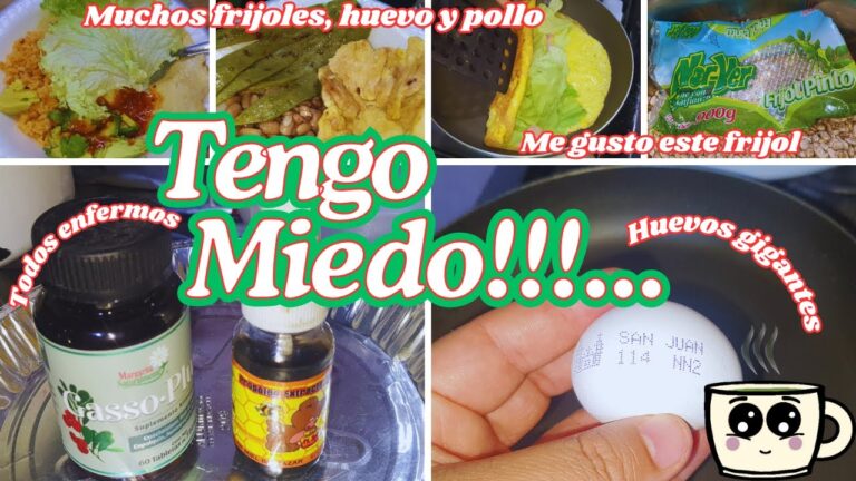 Men&uacute;s del D&iacute;a Econ&oacute;micos en Graus: Las Mejores Opciones
