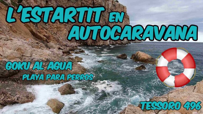 Playas para Perros Cerca de Huesca: Gu&iacute;a Completa