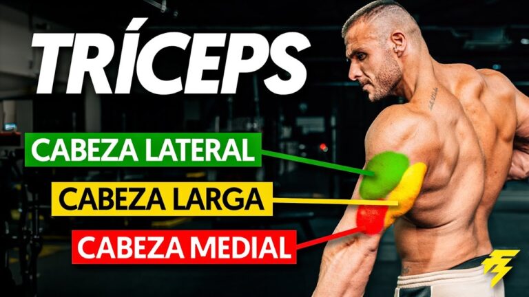 Curso de Nutrición Deportiva en Bolea: Dónde Estudiar