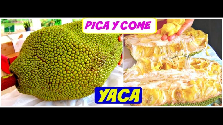 Mercados de Productos Frescos en Jaca