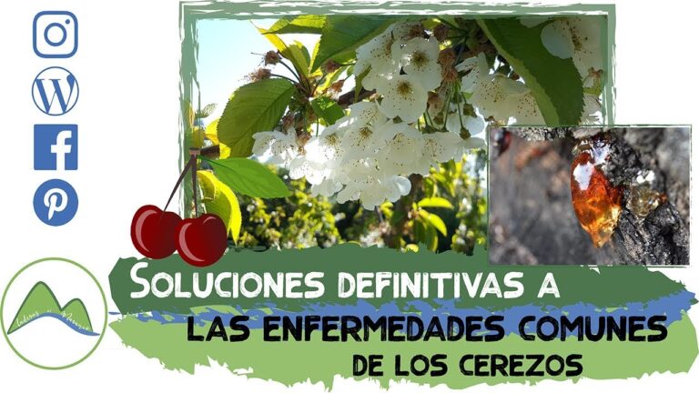 Soluciones para problemas con tu casero en Huesca