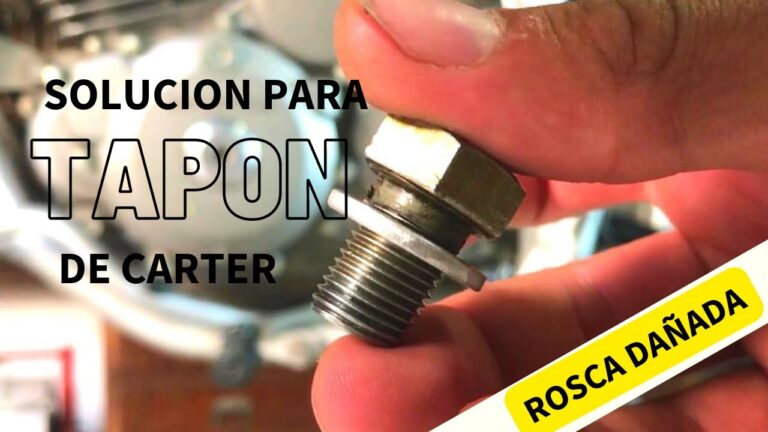 Qué hacer al encontrar una cartera perdida en Bolea