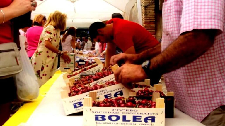 Actividades Turísticas de Moda en Bolea