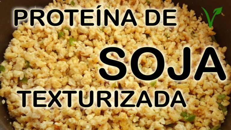 Gu&iacute;a de lugares para aprender a cocinar platos veganos en Graus