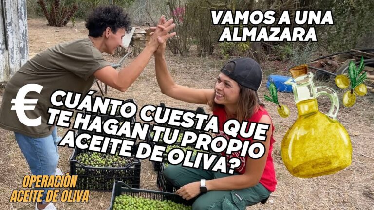 Gu&iacute;a para Comprar Vino en Bolea