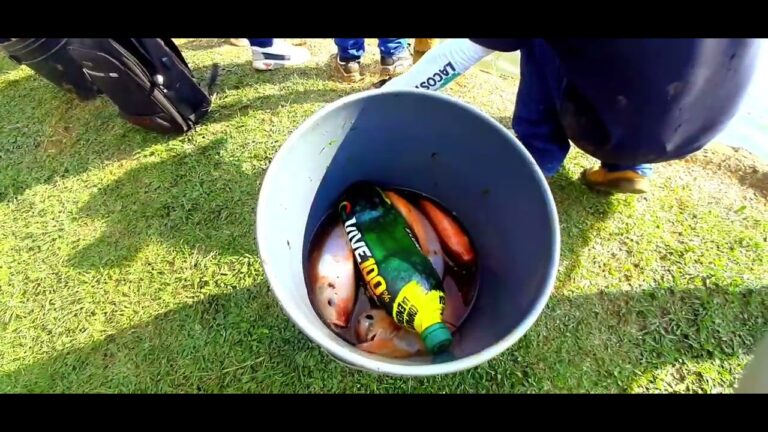 Mejores lugares para practicar pesca cerca de Ayerbe