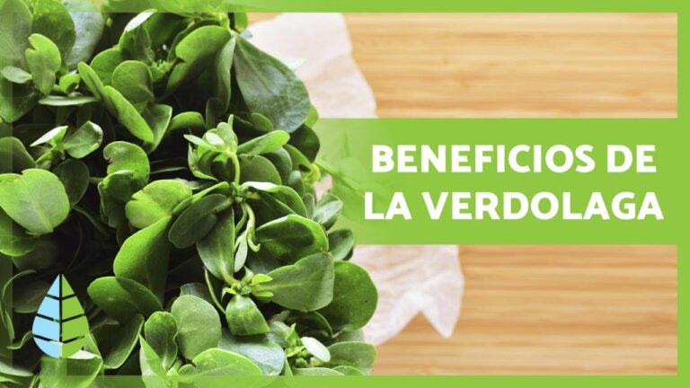 Mejores lugares para aprender a cocinar platos locales en Monz&oacute;n
