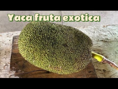 Las Mejores Opciones para Desayunar en Jaca